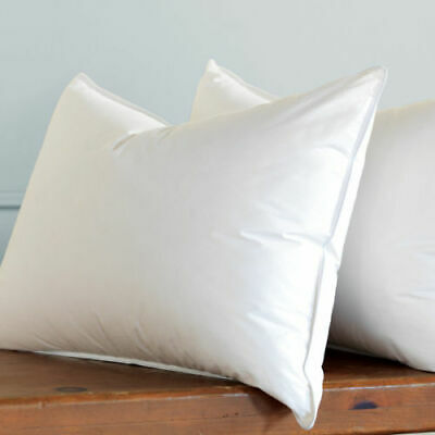 Egyptian Cotton Pillow Pair