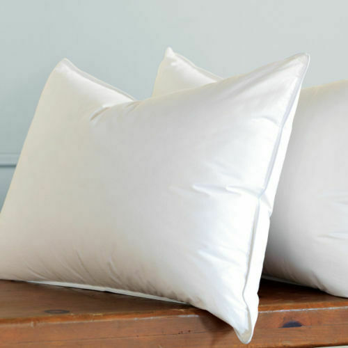 Egyptian Cotton Pillow Pair